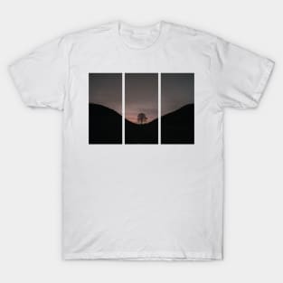 sycamore cap tree T-Shirt